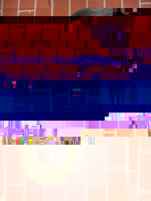 berliner pump 002.jpg