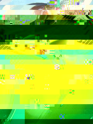 osbama ganz klein02.jpg