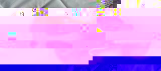 Geige von Herold.jpg