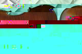 Geige RÃ¼ckseite2.jpg