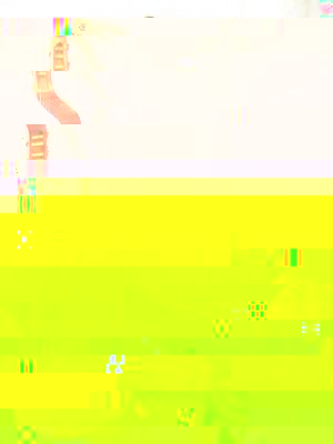 Teorbe ? Basslaute ?