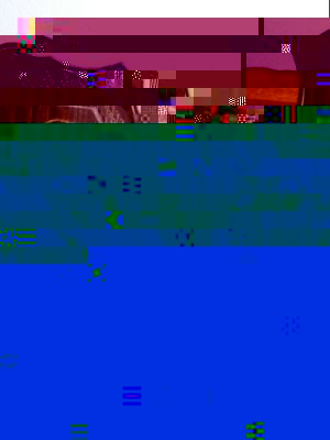 100_0773_resized nero 2.jpg